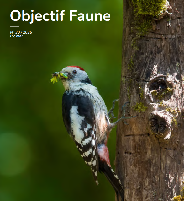 Objectif faune