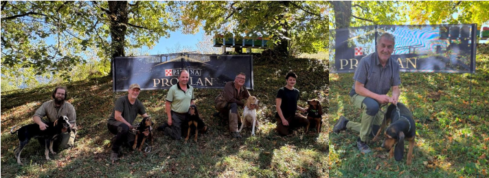 Compte-rendu épreuves de chasse pour chiens courant