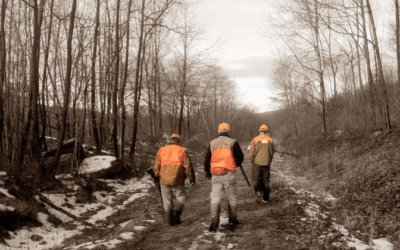 Jours de chasse par Canton